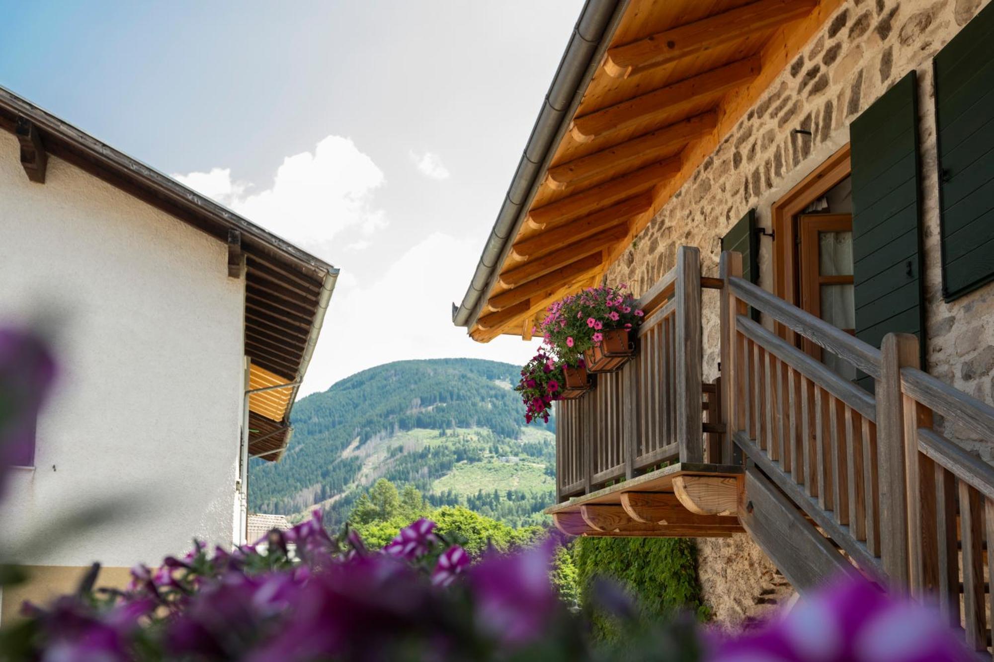 B&B Le Molinare Home Relax Varda 外观 照片